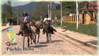 Municipio de Pueblo Bello  Cesar  Colombia [upl. by Ecnaiva710]