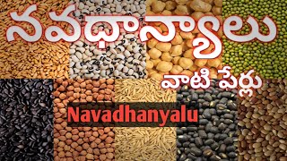 Navadhanyalu Names in English and Teluguనవధాన్యాలు ABC telugu channel [upl. by Ahsieken]