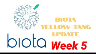 Biota Yellow Tang week 5 update [upl. by Kappenne]