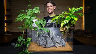 Definitive Guide to Growing Houseplants in an Aquarium [upl. by Anerom]