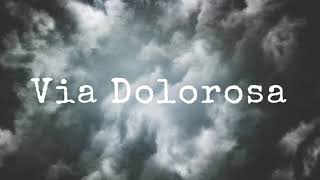 VIA DOLOROSA  INSTRUMENTAL [upl. by Berkow]