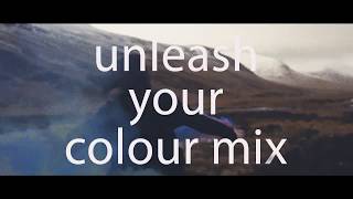 Insights Discovery  Unleash Your Colour Mix [upl. by Burrton]