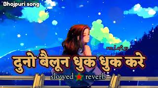 lofiquotDuno Balloon Dhuk Dhuk Kare😂🎈🙊slowed  reverb दुनो बैलून धुक धुक करे Golugold youtube [upl. by Karyl]