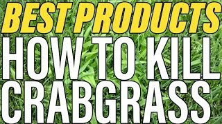 How To Kill Crabgrass  The BEST ProductsGuide To Success [upl. by Cousin]