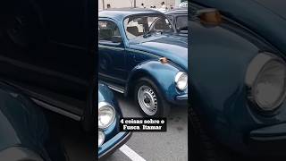 4 coisa sobre o Fusca Itamar fuscasporai fusca vwfusca aircooled fuscaitamar car vw [upl. by Atsed360]