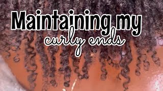 Maintaining My Curly Ends  Sisterlocks Journey [upl. by Christophe406]