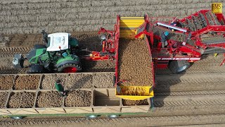 Kartoffelernte in Niedersachsen  Einblick in den Betriebsablauf Potato harvest in Germany 4K farmer [upl. by Monica]