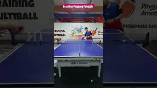 forehand spin pelatihan pingpong penghobby [upl. by Kerry838]