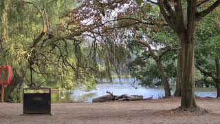 wollaton Park Nottingham UK 🇬🇧 relaxing nature Park birdstrvelvlog [upl. by Maffa212]