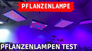 TEST Profi LED Pflanzenlampe vs billiges Amazon Grow Light  LED Pflanzenlichter Vergleich [upl. by Irb]