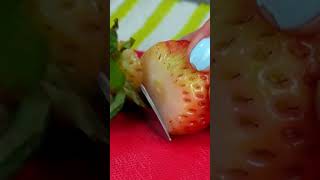 FRESAS CON CREMA 🍓deliciosas y muy fáciles de preparar COMIARTE 2023 fresas [upl. by Otreblada]