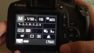 How To Connect Your Canon EOS Rebel T61300D To Your Computer [upl. by Aetnahc699]