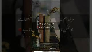 Murshad deep lines phr phr ilm hazar kitaaban [upl. by Ecyar746]