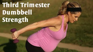 Third Trimester Prenatal Dumbbell Strength WorkoutBut Good For All Trimesters [upl. by Nodab]