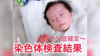 【ダウン症確定】我が子は21トリソミー【染色体検査結果】 [upl. by Heall]