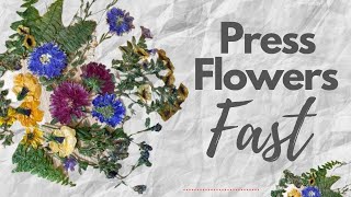 How to Press Flowers Fast Quick Preservation  Easy DIY Tutorial [upl. by Silverts]