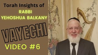 Torah Insights of Rabbi Balkany Vayechi Video 6 [upl. by Gabor]