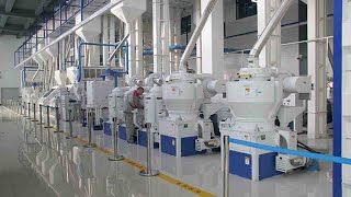 Best Automatic Rice Milling Plant [upl. by Anilave810]