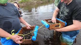 Peace River Fossil Hunt with Mark Renz Fossil Expeditions [upl. by Ayotan]