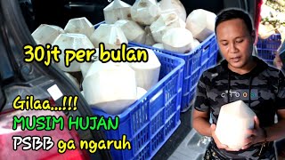 IDE BISNIS 30JT PERBULAN DIMUSIM HUJAN GAK NGARUH [upl. by Sabec308]