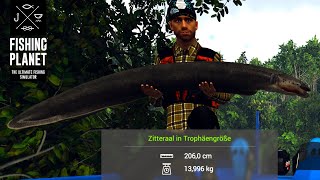 Fishing Planet Folge 747 Zitteraal mit Spinnausrüstung am Amazonas [upl. by Sidalg561]