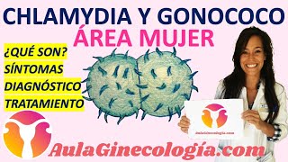 CLAMYDIA Y GONOCOCO ¿QUÉ SON SÍNTOMAS DIAGNÓSTICO TRATAMIENTO  Ginecología y Obstetricia [upl. by Rainah]