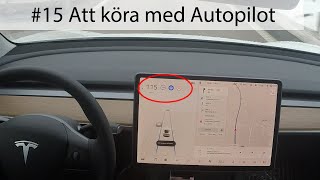 15 Autopilot Tesla Model 3 [upl. by Coltun]