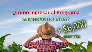 ¿Cómo entrar al Programa SEMBRANDO VIDA [upl. by Udele]