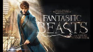 Fantastic Beasts and Where to Find Them Full Movie Fact in Hindi  Review and Story Explained [upl. by Ferro707]