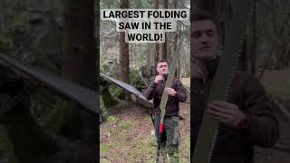 SILKY KATANABOY 1000 BEAST FOLDING SAW LARGEST SAW IN THE WORLD silky review amazing [upl. by Monahon]