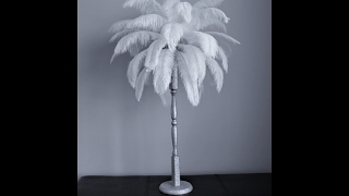 DIY Ostrich feather centerpiece [upl. by Ji]