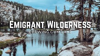 Chewing Gum Lake Backpacking  Emigrant Wilderness  Stanislaus National Forest EP 7 [upl. by Sax757]