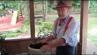 How to Grow Blueberries in a Pot or Container with Tim Berry [upl. by Estella]