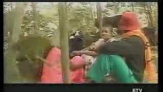 Ethiopian Music Oromiffa Humneessaa Badhaasaa Hinbutin [upl. by Lorou]