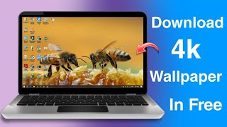 How To Download 4K Wallpapers  Thems For LaptopPC  Edition 2024 [upl. by Fowle]