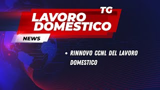 News di Lavoro Domestico Rinnovo CCNL [upl. by Ettezoj]