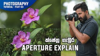 Aperture Explain  Photography Basics Part 03 [upl. by Otit]