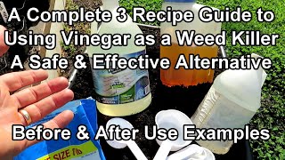 How to Use Vinegar as an Organic Garden Weed Killer 3 Recipes Different Strengths amp Use Examples [upl. by Entroc]