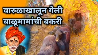 Balumama Krupa Part – 259  Balumama Bakri  balumamatodayepisode  Santosh Shamrao Raut [upl. by Letnom]