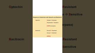 Disk Diffusion Test using Bacitracin or Optochin [upl. by Anairda]