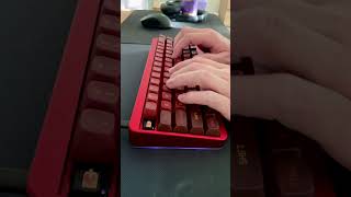 Tactile FrankenSwitch  ID67  MT3  Typing Test [upl. by Yerhcaz340]