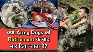 What Happens To Indian Army Dogs After Retirement Indian Army’s Canine Soldiers [upl. by Falda]