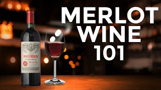 Understanding the Basics A Beginners Guide to MERLOT [upl. by Ches903]