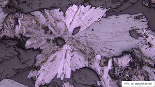 Molybdenite Reflected Light [upl. by Candice]