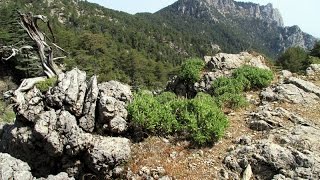 TURKEY Hiking The Lycian way [upl. by Valli293]