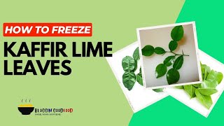 Freeze Kaffir Lime Leaves in 4 Simple Steps  Bloggingoodfoodcom [upl. by Ivonne]