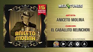 Aniceto Molina  15 Exitos Inmortales Disco Completo [upl. by Ehcsrop]