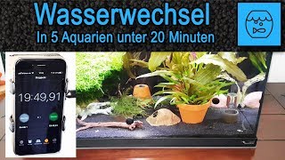 Wasserwechsel in 5 Aquarien unter 20 Minuten  Aquarium Wasserwechsel mit aufbereitetem Osmosewasser [upl. by Ardek535]