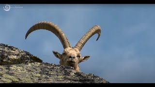 Vanoise un autre regard [upl. by Ynavoeg611]