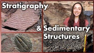 Stratigraphy and Sedimentary Structures  GEO GIRL [upl. by Neerol877]